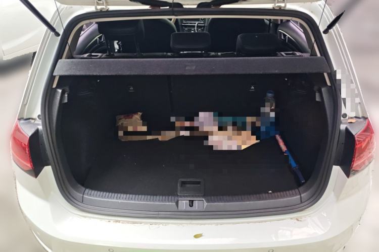 Used Volkswagen Golf 2018 230TSI Automatic Luxury Version Trunk