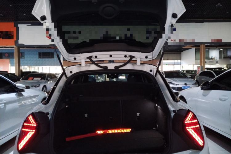 Used MINI MINI 2025 2.0T COOPER S Artist Five-Door Edition