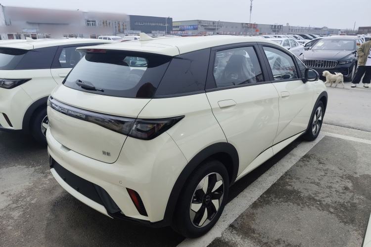 Used BYD Dolphin 2025 420km Free Edition