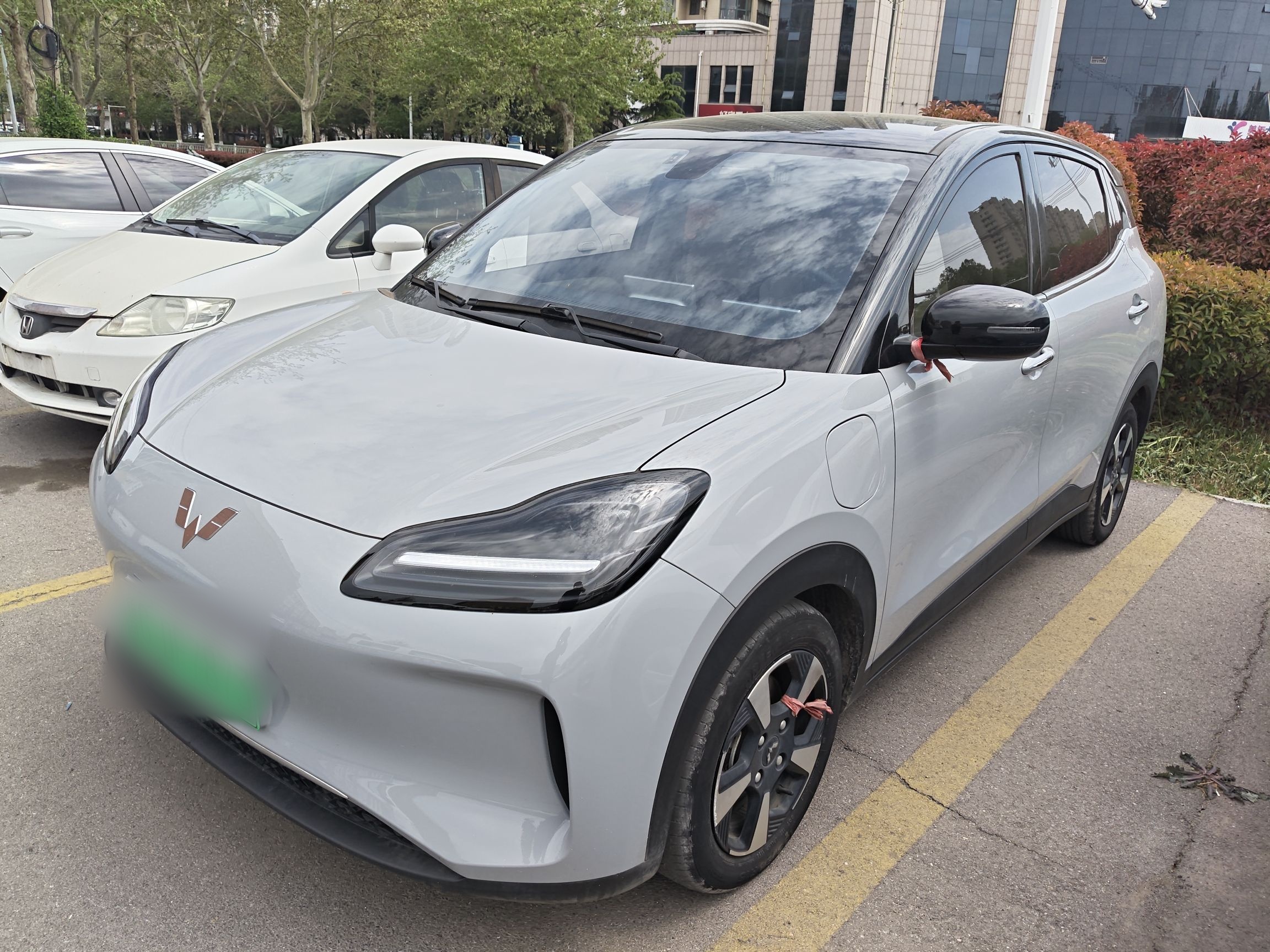 Parte inferior delantera