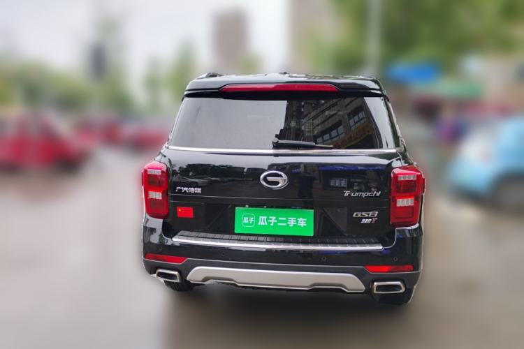 Used GAC Trumpchi GS8 2017 320T Two-Wheel Drive Luxury Smart Connectivity Version (7 Seats) Rear