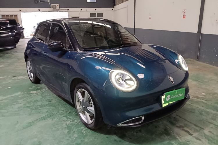 Used ORA Good Cat 2021 400km Standard Range Venus Edition Lithium-Ion Battery
