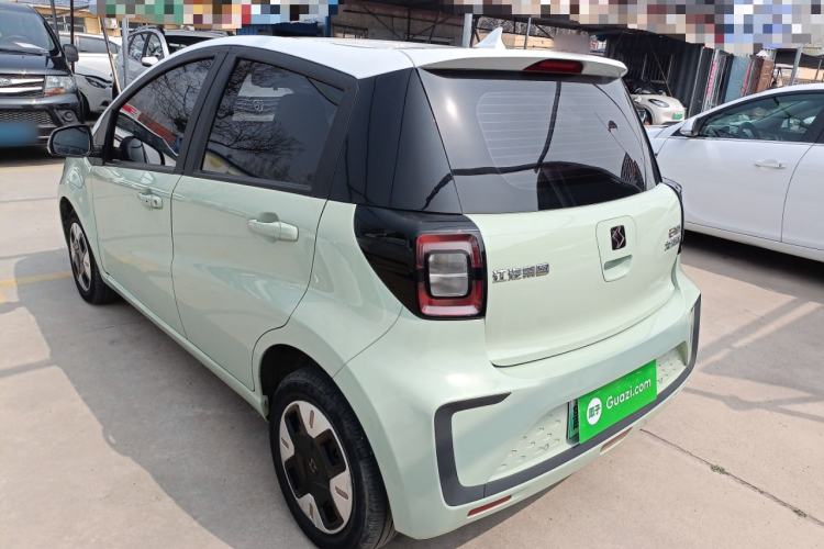 Used SOL E10X 2022 Flower Fairy Design Four-Leaf Clover