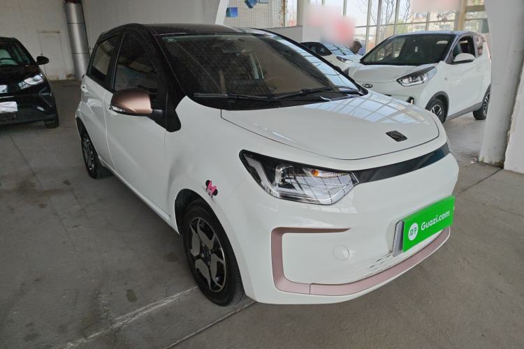 Used SOL E10X 2022 Flower Fairy Design Sunflower