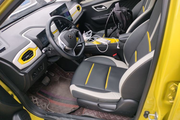 Used SOL E10X 2022 Flower Fairy Style Baby's Breath
