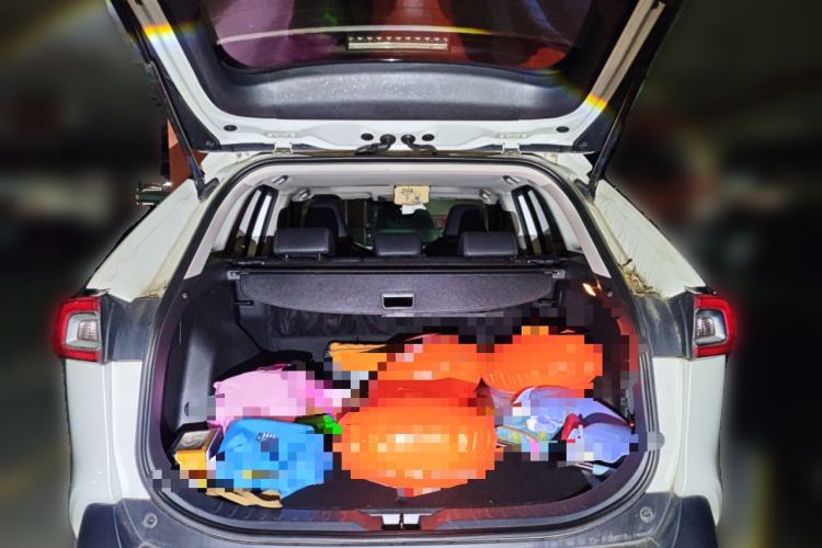 Used Toyota Wildlander 2020 Dual-Motor 2.5L E-CVT Four-Wheel Drive Luxury Edition