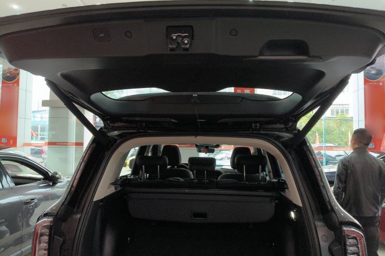 Used Haval DARGO 2021 2.0T DCT 4x4 Chinese Rural Dog Edition Trunk