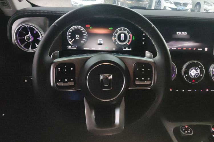 Used Tank 300 2024 2.0T Crosser