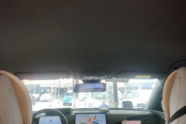 Used BYD Seal 06 New Energy 2024 DM-i 80KM Prestige Model Headliner