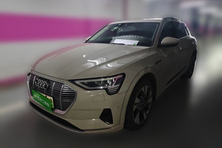 Used Audi e-tron 2019 55 quattro Technology Edition