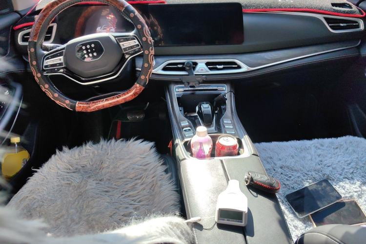 Used Landian E5 2024 Honor Edition 100KM Comfort Model 7 Seats Center Console