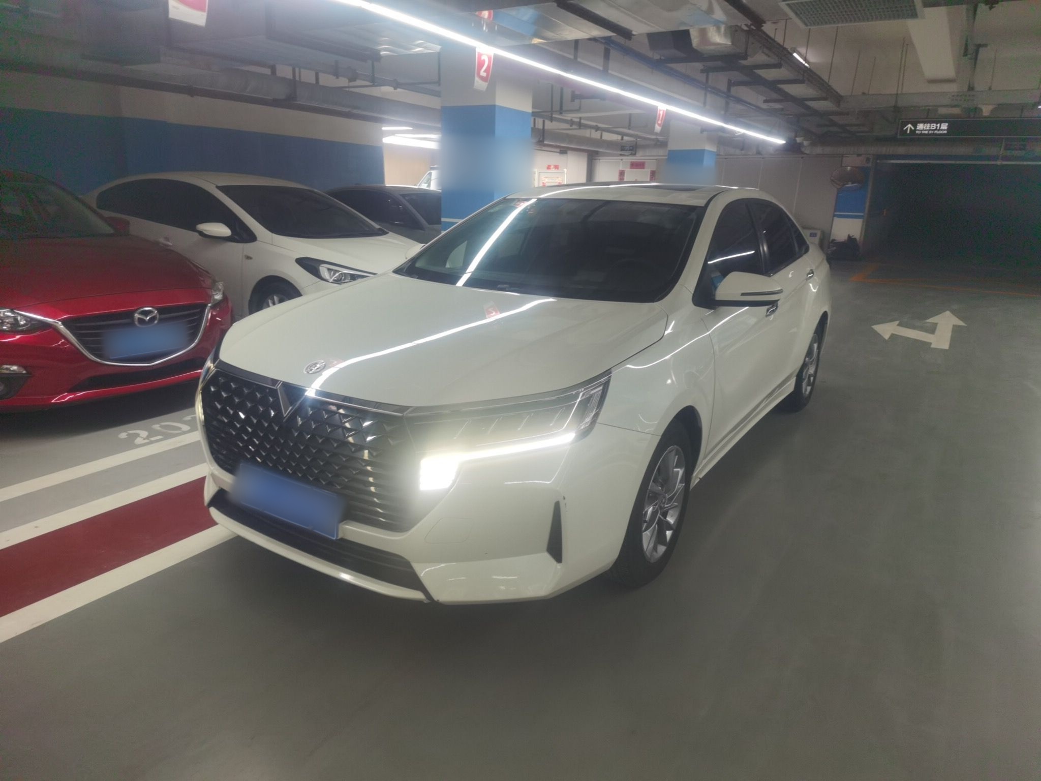 تحت مقدمة السيارة