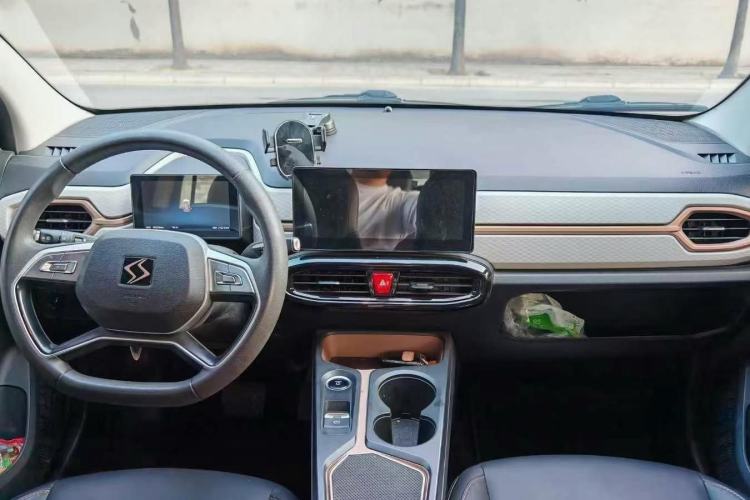 Used SOL E10X 2022 Flower Fairy Design Four-Leaf Clover