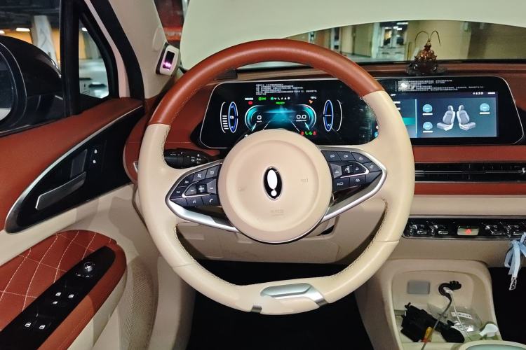 Used ORA Good Cat 2021 400km Standard Range Athena Edition Lithium Iron Phosphate
