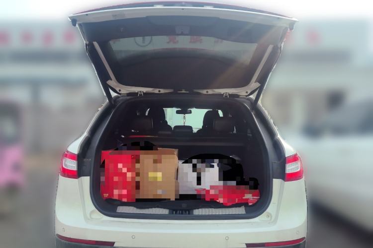 Used Lincoln MKX 2018 2.0T Four-Wheel Drive Zunya Edition