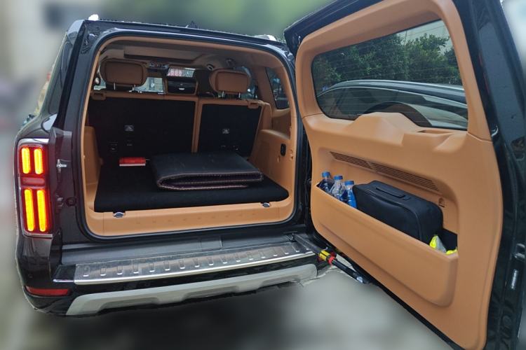 Used Tank 500 New Energy 2024 Hi4-T
