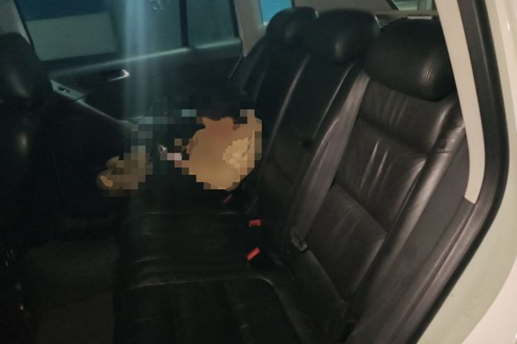 Used Volkswagen Tiguan 2010 1.8TSI Automatic Two-Wheel Drive Elite Edition