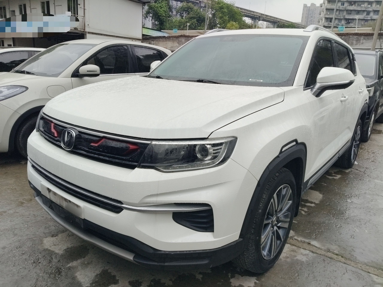 Parte inferior delantera