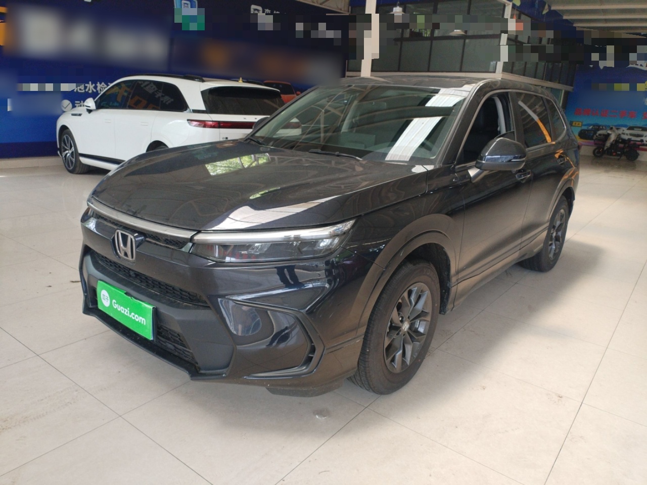 Parte inferior delantera