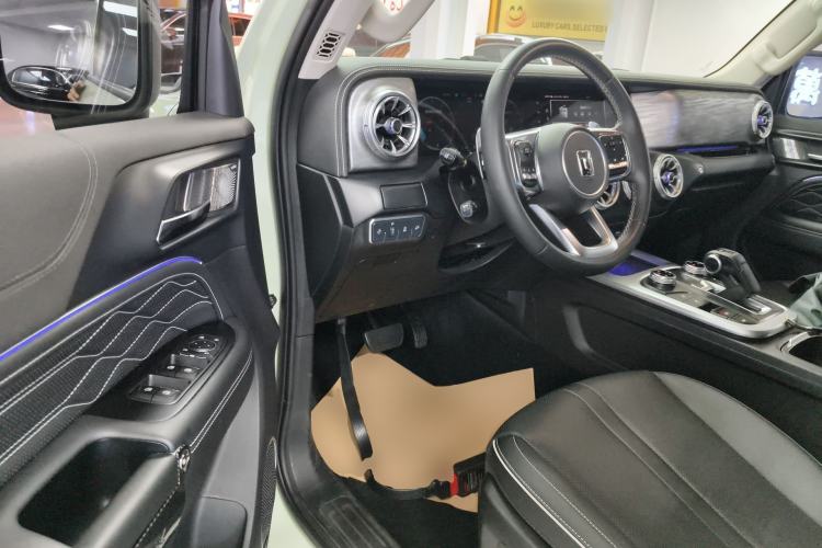 Used Tank 300 2021 2.0T Wind & Forest Iron Rider
