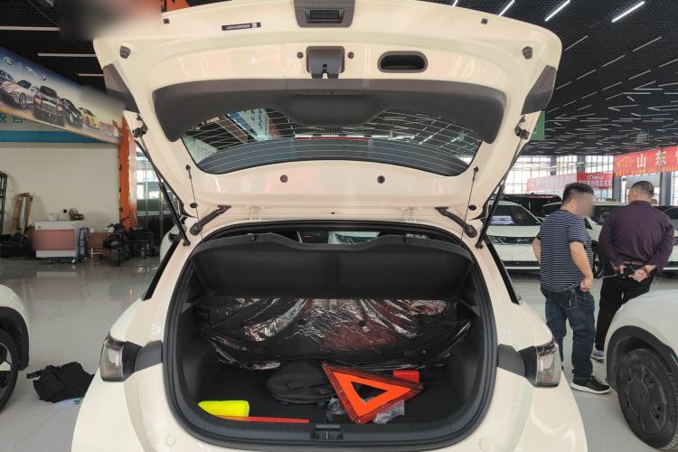 Used BYD Dolphin 2025 420km Free Edition