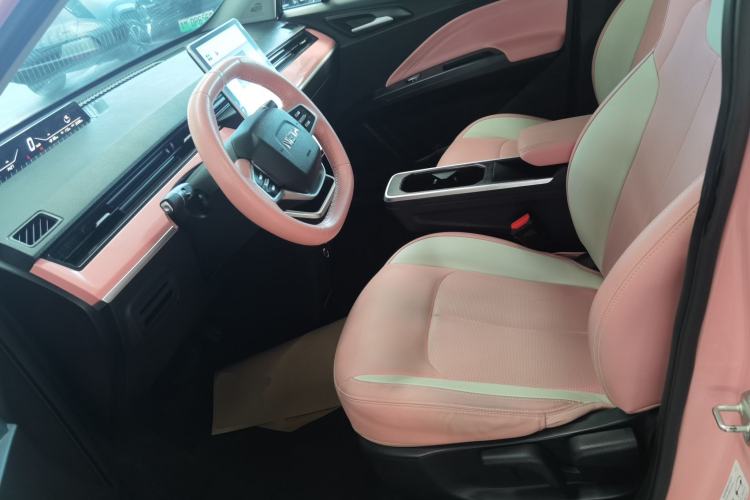 Used NETA V 2021 Witch Edition