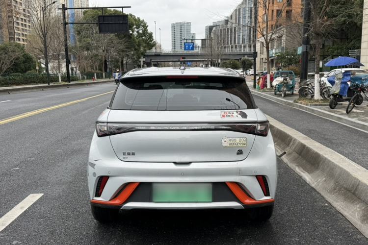 Used BYD Dolphin 2021 405 km Free Version
