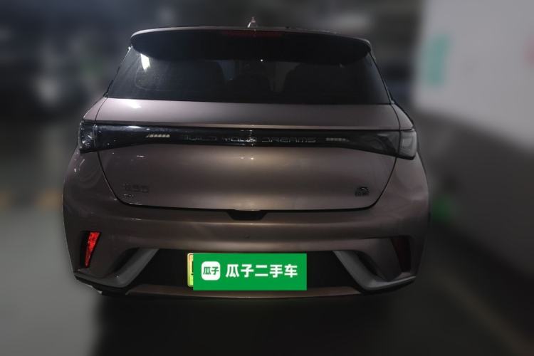 Used BYD Dolphin 2021 405 km Fashion Edition Rear