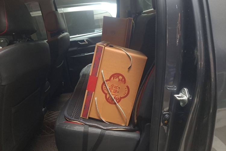 Used Foton General F9 2022 2.0T Gasoline Manual 4x4 Enjoyment Version Standard Cab 4G20TI5
