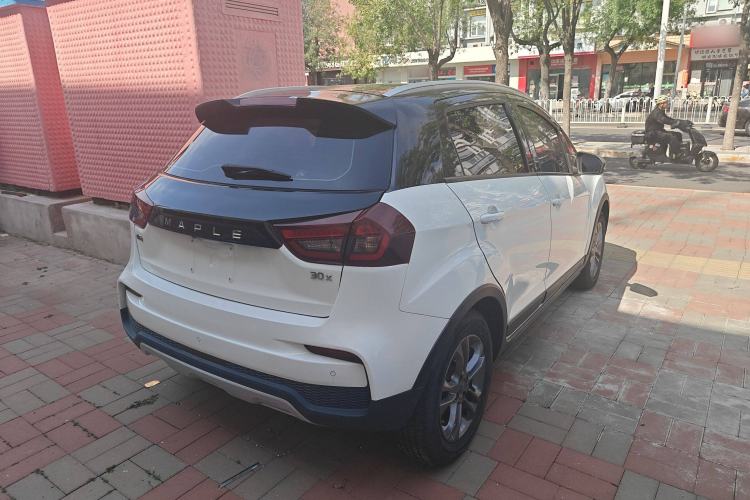 Used Livan Maple 30X 2020 Smart Drive Edition