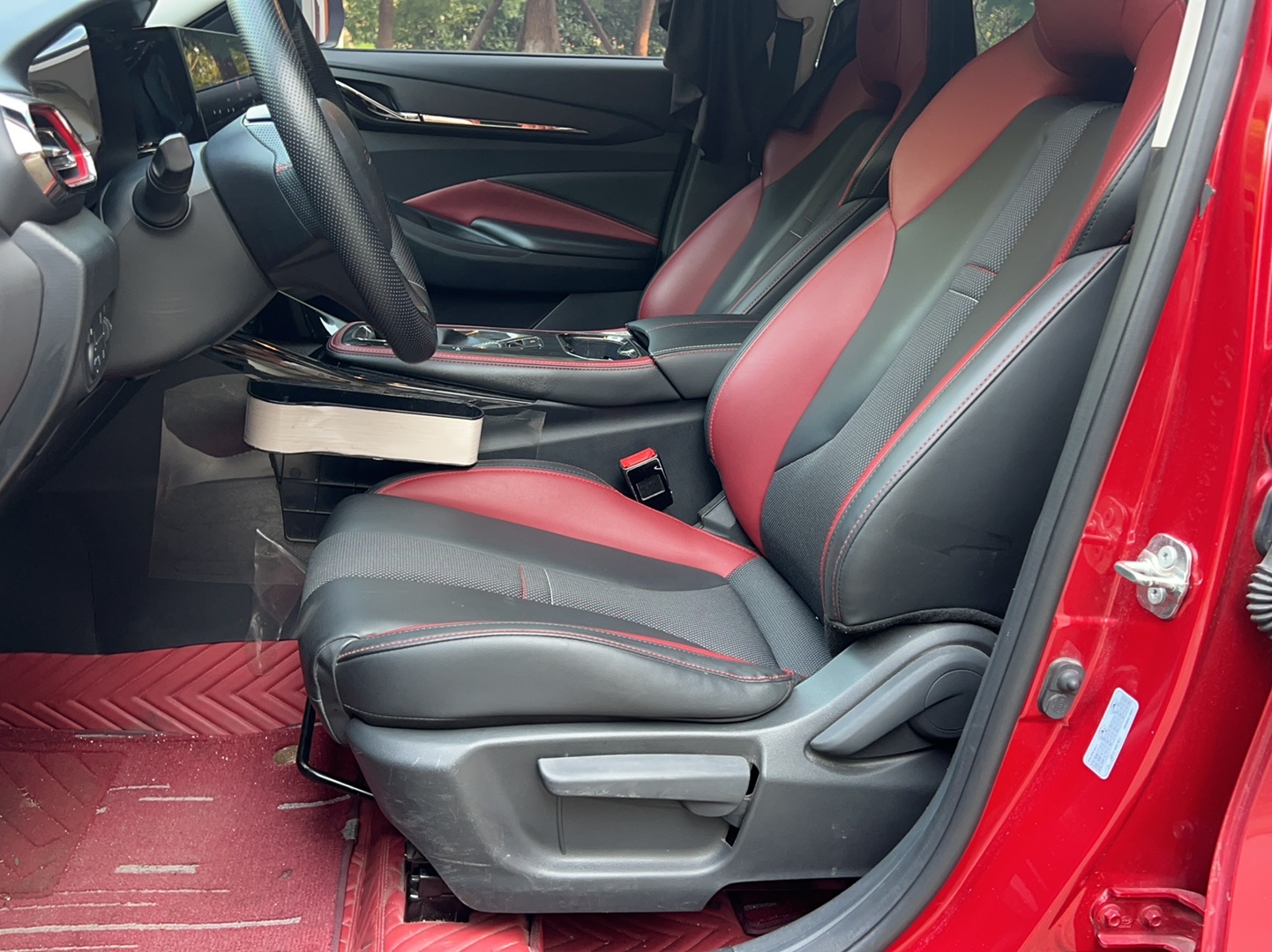 Interior delantero