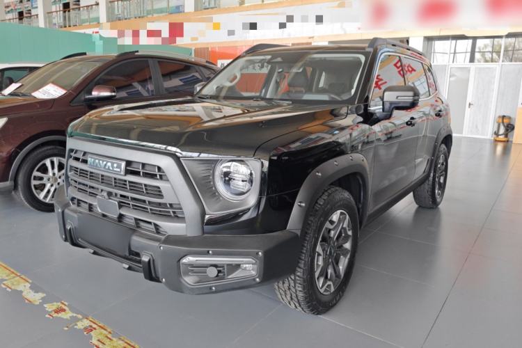 Used Haval DARGO 2024 2.0T DCT Chinese Rural Dog Edition