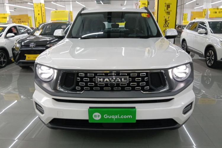 Used Haval H Dog 2023 2.0T Two-Wheel Drive Chaoye Version Plus