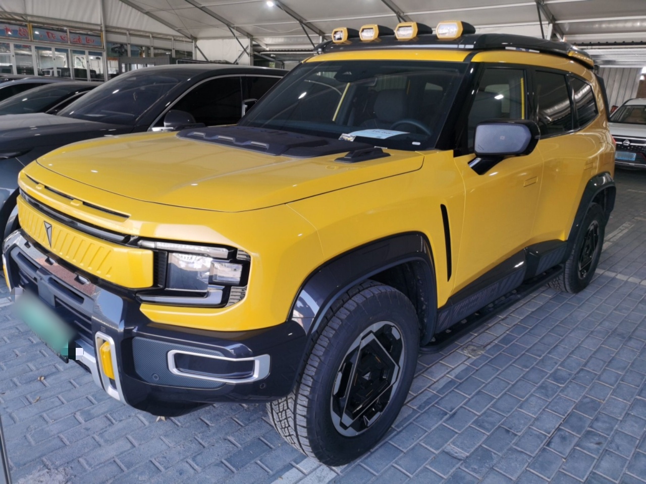 تحت مقدمة السيارة