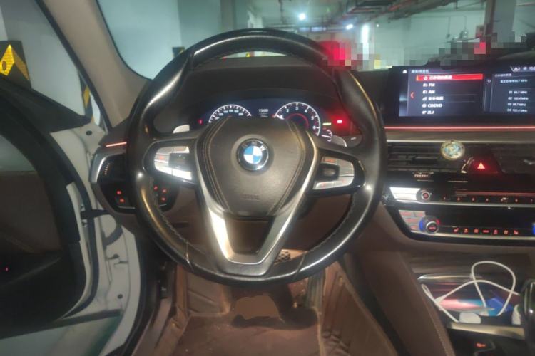 Used BMW 5 Series 2019 530Li Leading Model Luxury Package Steering Wheel