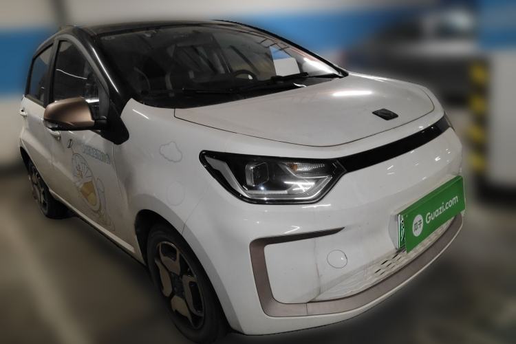 Used SOL E10X 2022 Flower Fairy Style Baby's Breath
