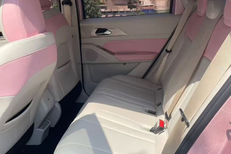 Used Geometry E Firefly 2024 401km Starlight