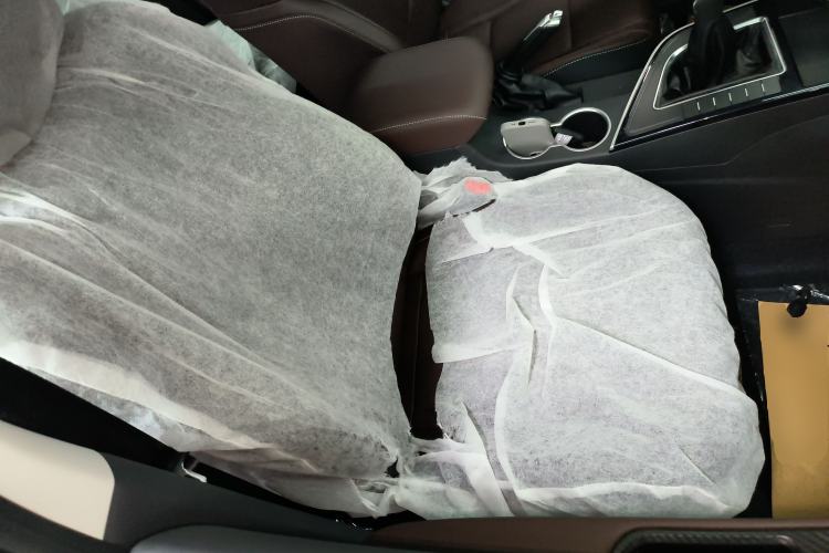 Used FORTHING T5 2024 Grand Edition 1.6L Manual Dream-Chasing Version 5 Seats Right Front Seat