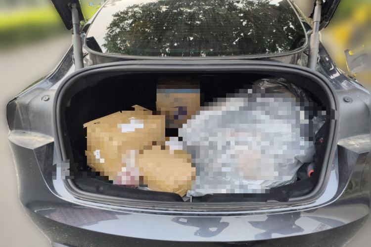 Used Tesla Model 3 2023 Rear-Wheel-Drive Version Trunk