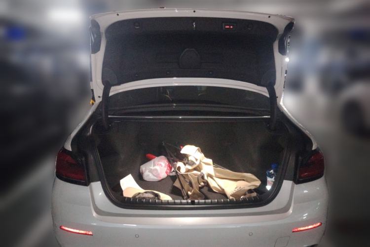 Used BMW 5 Series 2021 530Li Leading Luxury Package