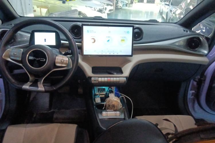 Used BYD Dolphin 2023 420 km Free Version Center Console