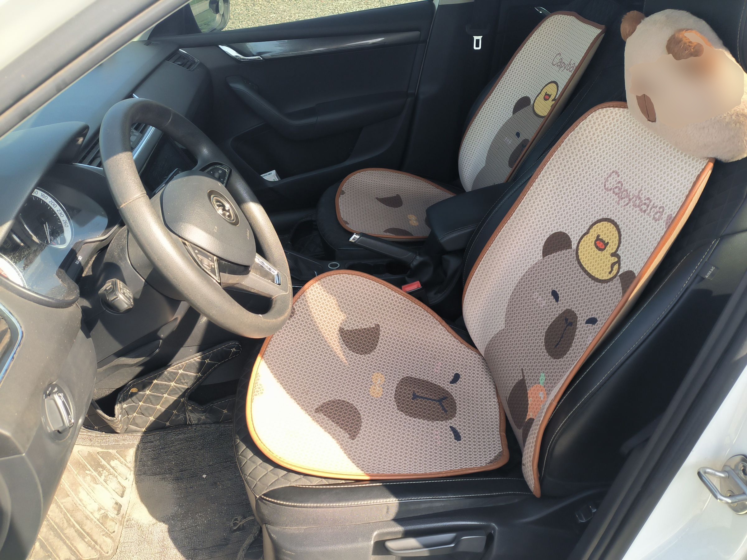 المقاعد الأمامية داخل السيارة