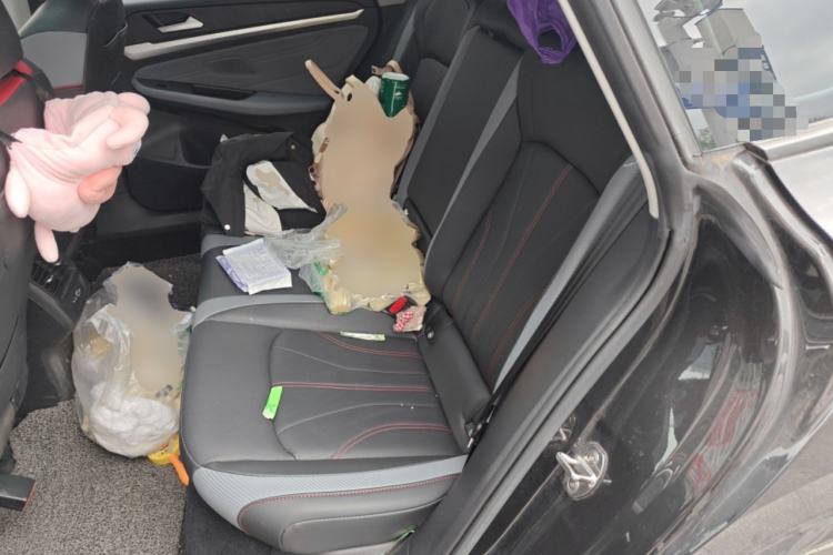 Used Volkswagen Lamando 2022 Lingdu L 280TSI DSG Spicy Edition
