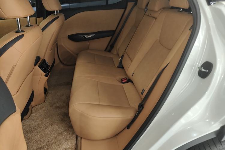 Used Lexus RZ 2023 450e All-Wheel Drive Luxury Edition Left Rear Seat