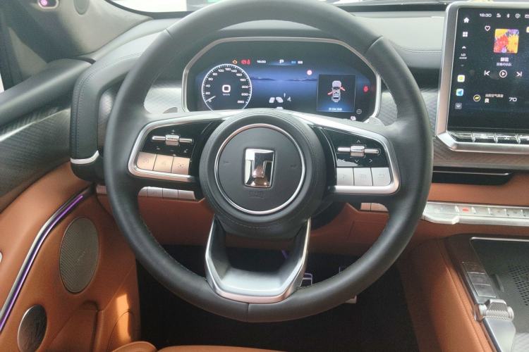 Used Tank 700 New Energy 2024 Hi4-T Extreme Edition Steering Wheel