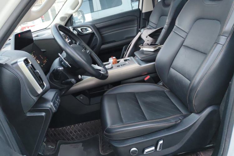 Used Haval DARGO 2024 2.0T DCT Chinese Rural Dog Edition