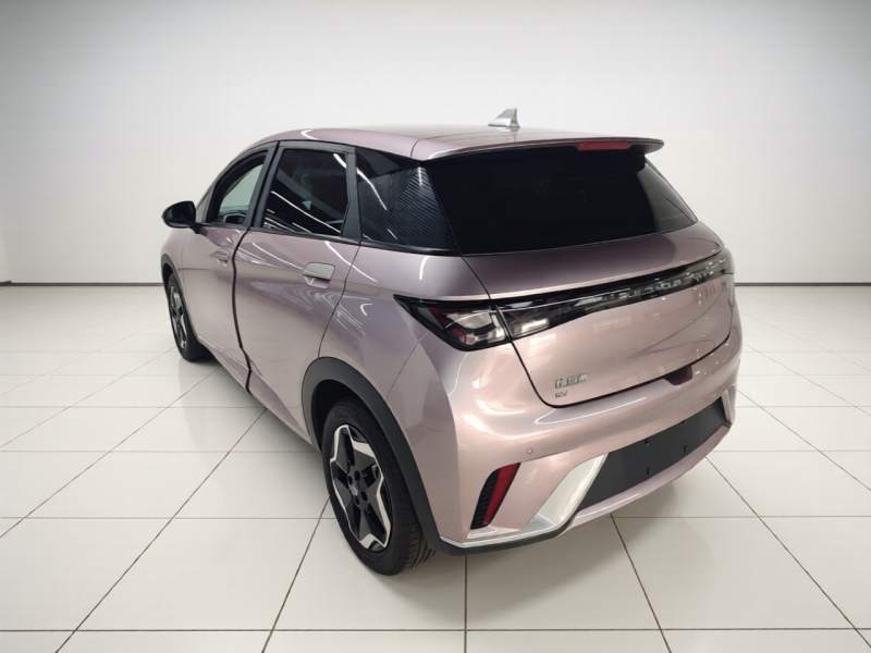 Used BYD Dolphin 2021 405 km Fashion Edition — 4