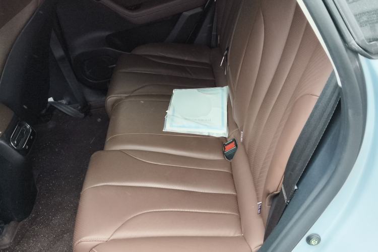 Used Leapmotor C11 2021 Revised Version Luxury Edition Left Rear Seat