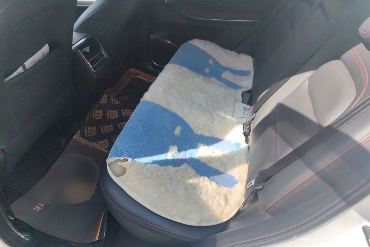 Used EXEED Lingyun 2021 290T Two-Wheel Drive Star-Style Version Left Rear Seat