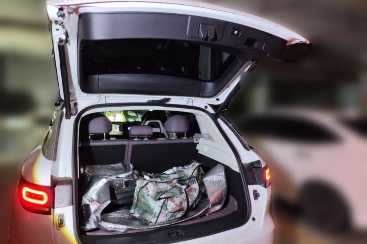 Used Leapmotor C11 2024 All-Electric 580 Luxury Edition